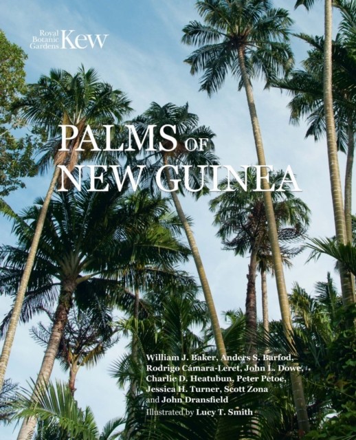 Palms of New Guinea by William Baker NEW Free UK Delivery - Image 2