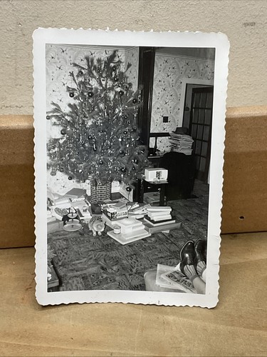 50er Jahre Fotos von Weihnachten Morgen Baum Geschenke Katze Wohnzimmer B47 - Bild 14 von 17