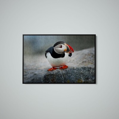 Artographie - Goofy Puffin - Art Print on Paper or Canvas