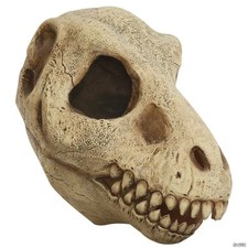 Adults Tyrannosaurus Rex Dinosaur Skull Mask TB26803