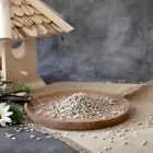 Video 1 von 1
