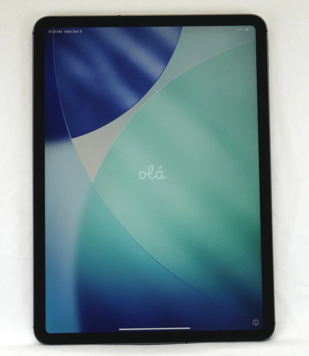 Apple iPad Pro (1st Generation) 11 in - 12.9 in Screen Tablets