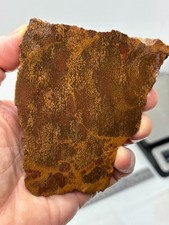 Spider Jasper Slab aka Starburst slab Lapidary Cabbing Combo Ship Avail