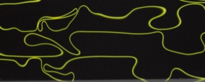 Firefly BTW50GC Acrylic (1 pc) Game Call 1 1/2''sq x 6''