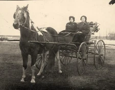 c1900  RPPC Real Photo Postcard Pair Ladies Horse Buggy Buckboard Cart Tack 