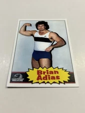 Brian Adias World Class Wrestling Custom Card Legendary AC
