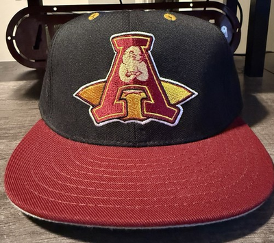 #ad #ad 1995 Abilene Prairie Dogs Pro Line 7 1 2 Hat MILB MUSA Wool $65.00