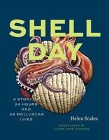 Helen Scales | Shell Day | Buch | Englisch (2026) | Einband - Fest (Hardcover)