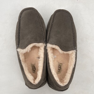 UGG Ascot Men display picture 1