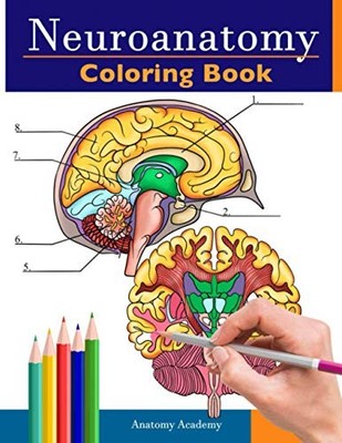 Neuroanatomy Coloring Book: Incredi..., Academy, Anatom