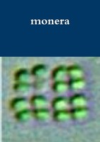 John Martone | Monera | Taschenbuch | Englisch (2014) | Kartoniert / Broschiert
