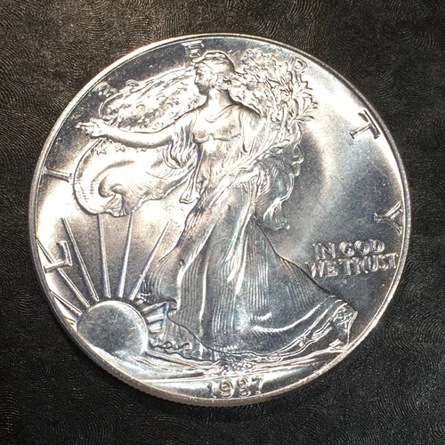 1989 Uncirculated American Silver Eagle US Mint Issue 1oz Pure Silver #o301