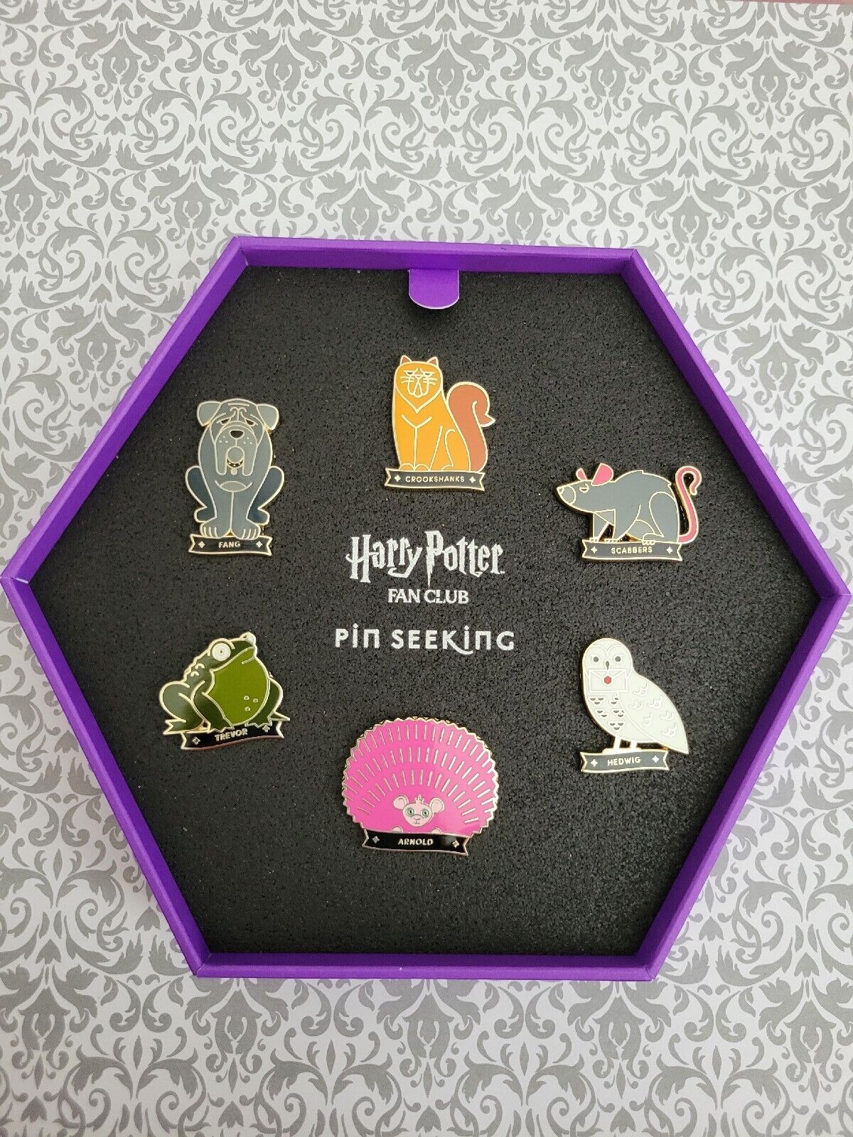 Taking A Closer Look At The Official Harry Potter Fan Club Pin Seeking  Collection