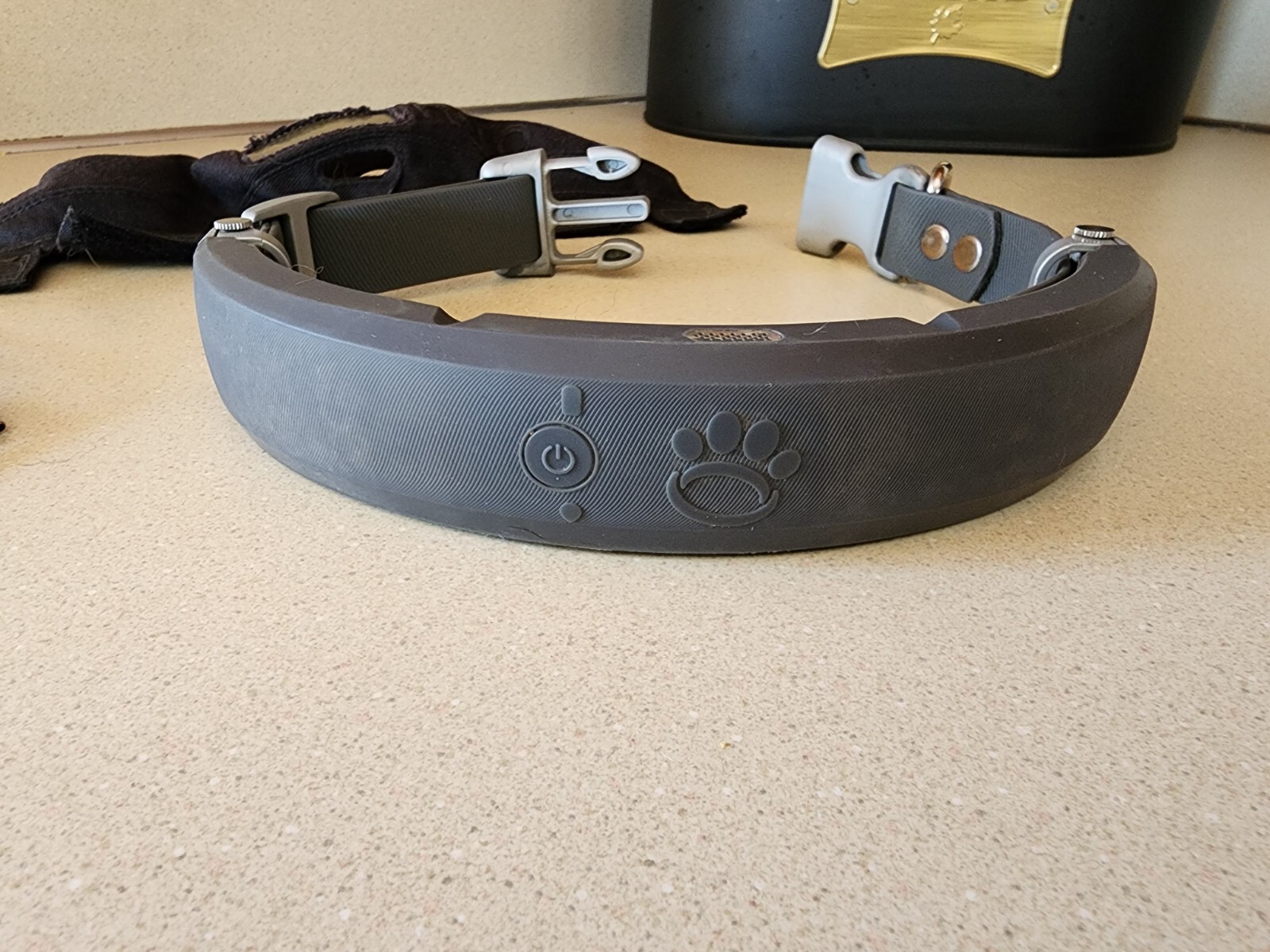 Halo with Cesar Millan Wireless Dog Fence with GPS Collar Solution