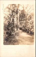 Myserry RPPC Country Road Through The Woods Unknown Locaton UNP Postcard T27
