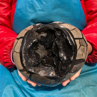 4190g Natural Turtle Back Cave Fossil - Therapeutic Effects  MH3682