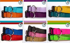 Dog Collars - Various colors and sizes