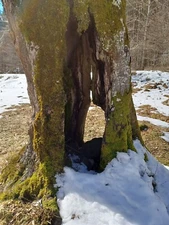 Digital Image Picture Photo Wallpaper Background Beautiful Art # 341