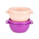 Tupperware Sonnenschüssel  (2) lila und lachs je 400ml