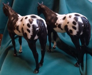 Breyer Horse Stud Spider Appaloosa