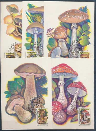 XE59714 Russia 1986 mushrooms fungi plants maxicards used