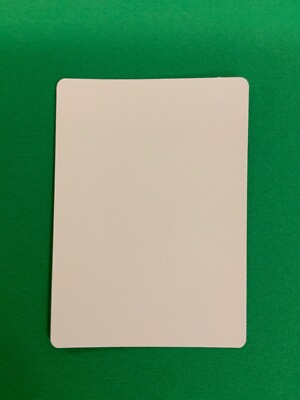 MTG Magic Plains Shadow Signed Artist Proof X1 6th Edition Shuler