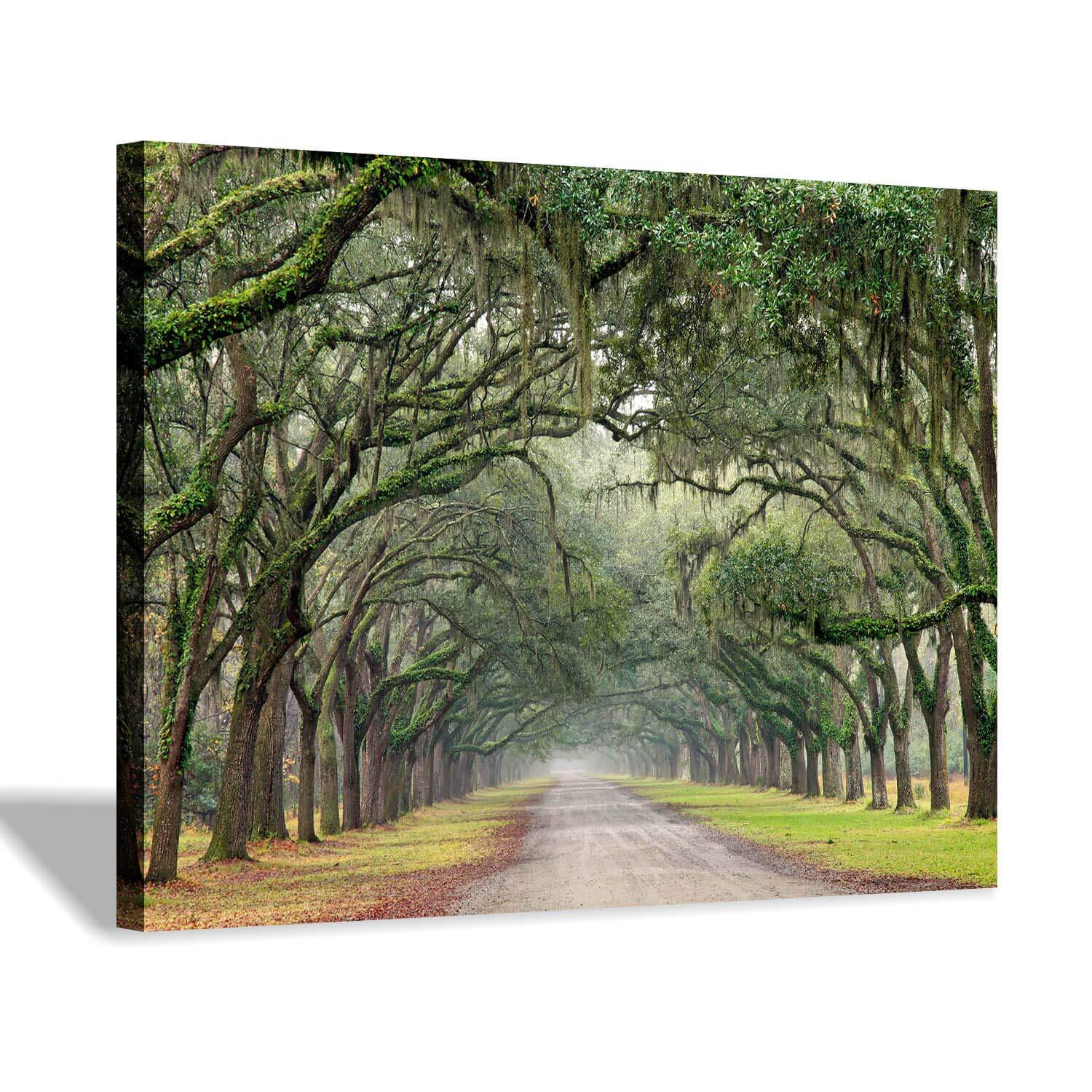 Oak Tree Canvas Wall Art: Green Landscape Artwork Forest Picture Painting Sma...