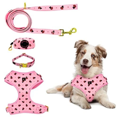 Dog Harness Set No-Pull, Step-in, Soft & Adjustable Matching Large Pink