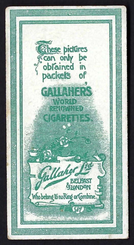 GALLAHER - BEAUTIES (NO INSET) - H180 #5 - Image 2 of 2