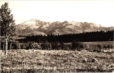 Pikes Peak Harral Ranch Tavern Rampart Range Road CO RPPC Photo Postcard 1940s