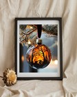 Foto 5 di 5