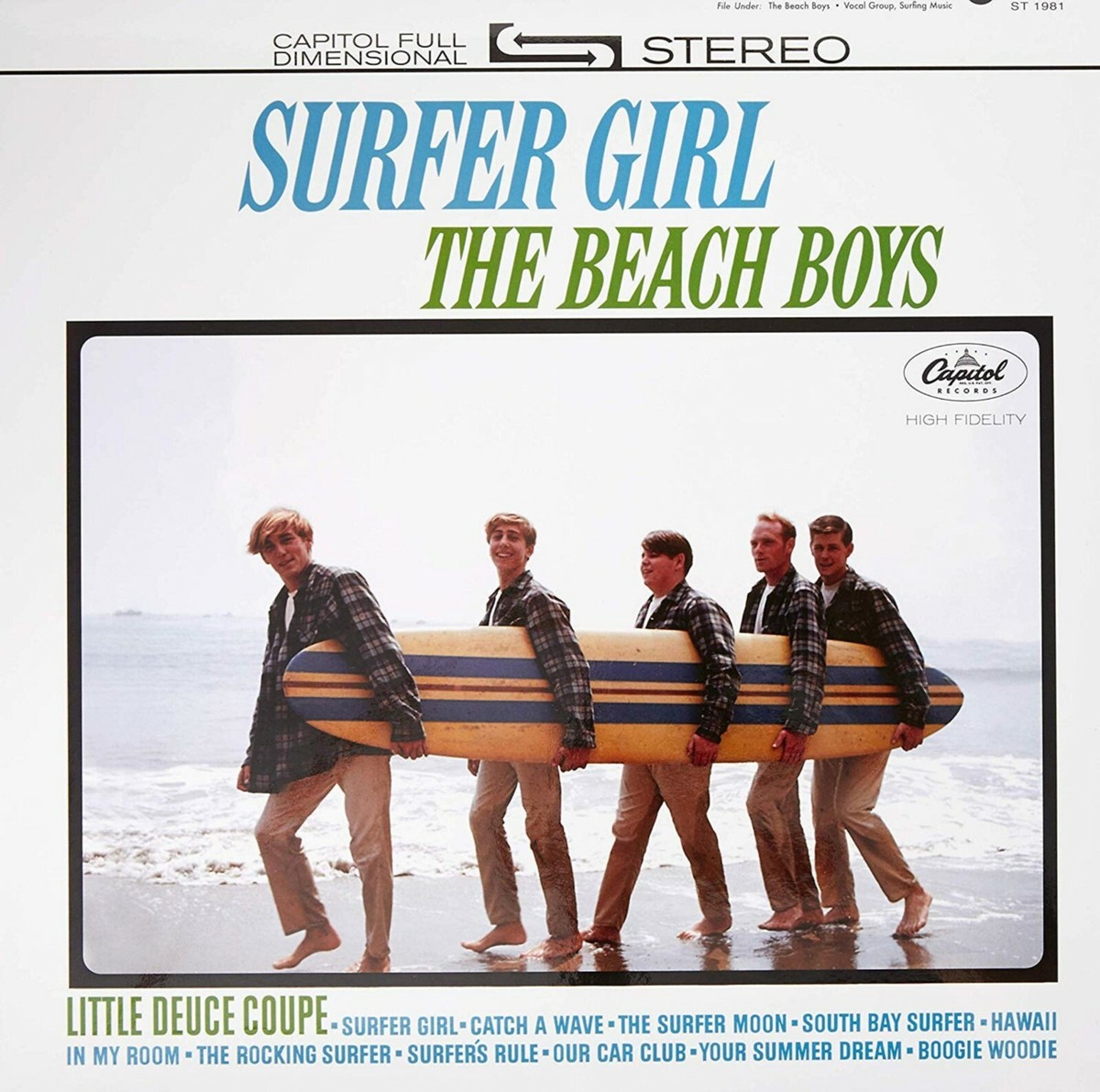 The BEACH BOYS Surfer Girl BANNER 2x2 Ft Fabric Poster Tapestry