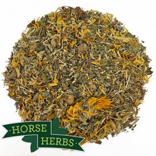 Horse Herbs Fill Support Plus 1kg - Natural Horse Supplement, Blood Tonic