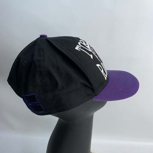 Toronto Raptors Mens Hat Snapback Mitchell & Ness Hardwood Classics NBA Purple - Picture 2 of 7