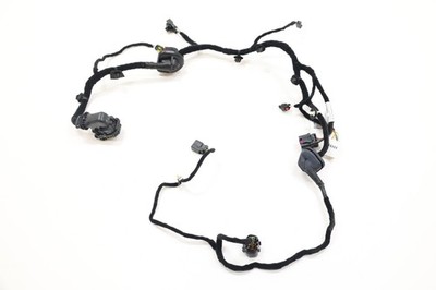 2023 - 2025 DODGE HORNET FRONT RIGHT DOOR WIRE WIRING HARNESS OEM 00505725410
