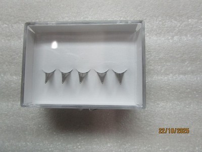 LAMY - Füller-Feder - Z50 - blank - Stärke : F - 5er-Pack - 1 x Set