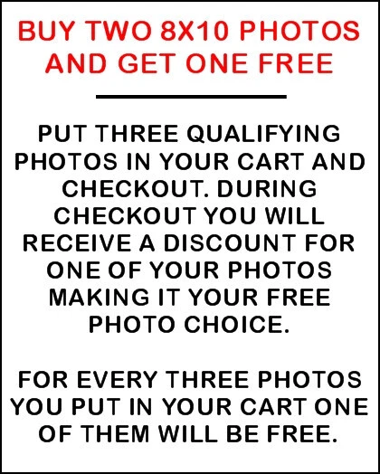 Satchel Paige #3 Photo 8X10 - KC A'S 1965 COLORIZED - Image 2 of 4