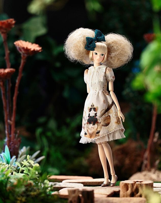 momoko こぐま座 DOLL