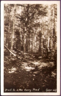 Trail to Little Carry Pond Road Maine 1935 Vintage Real Photo Postcard