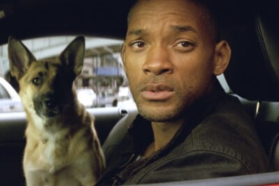 FILM FOTO NR. 7 - I AM LEGEND (2007) - HOCHGLANZ - 15 x 10 CM - NEU
