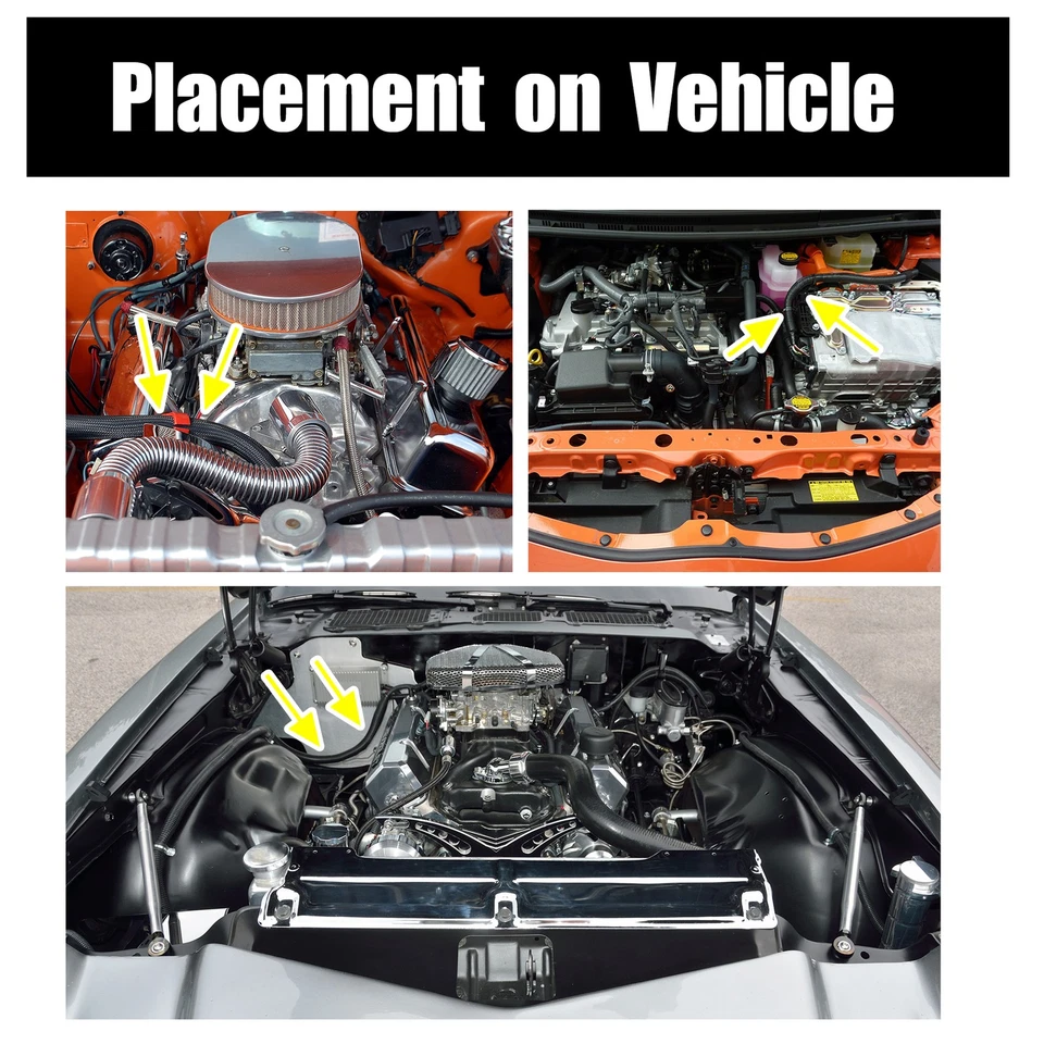 10 Pies AN12 Universal Trenzado Aceite Gas Línea Manguera para Coche Negro - Imagen 2 de 4