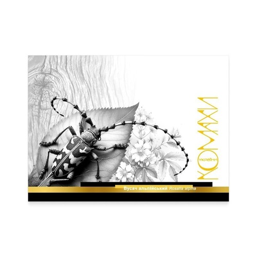 NEW FULL FALL STAMPS SET 2024 + FDC WAR in Ukraine ππ "Insects of Ukraine" - Picture 7 of 13