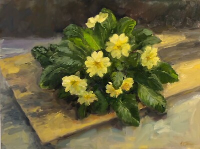 HELEN TARR ORIGINAL Wildprimeln PRIMULA Topfpflanze Blume ÖL LEINWANDMALEREI