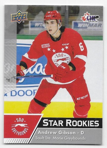 22/23 UPPER DECK CHL STARS/STAR ROOKIES Hockey (#301-400) U-Pick From List - Picture 49 of 90