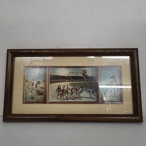 Greyhound Dog Racing Framed Picture- 13x7"
