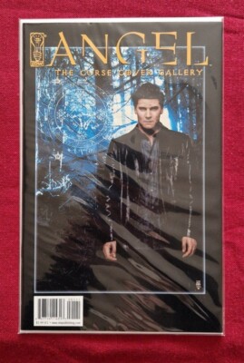 Angel - The Curse Cover Gallery Edition Comic IDW 2006 VF/NM - Choose Variant