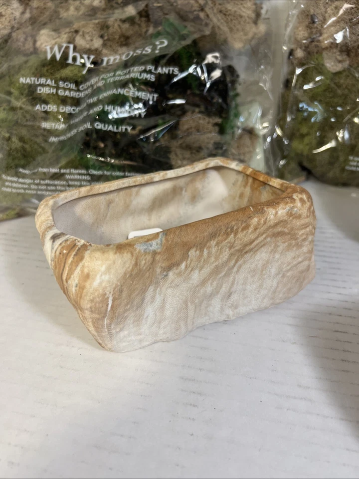 Lote de piedras para macetas suculentas musgo sin usar con orificios de drenaje Foto 4 de 4