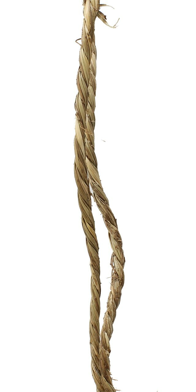Afbeelding 5 van 5