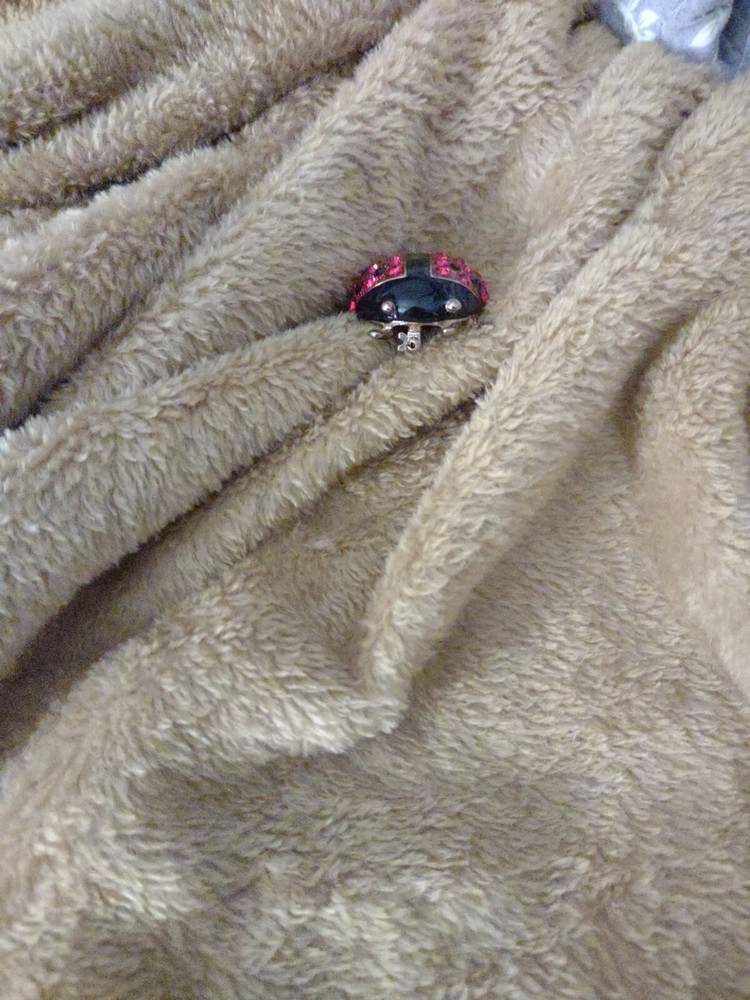 Chicos Ladybug Pin Brooch