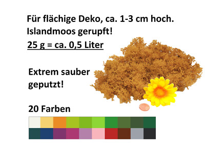 Muwse ohne Dreck 25g gerupft Rentier - Islandmoos haltbar gefärbt Krippe Ostern